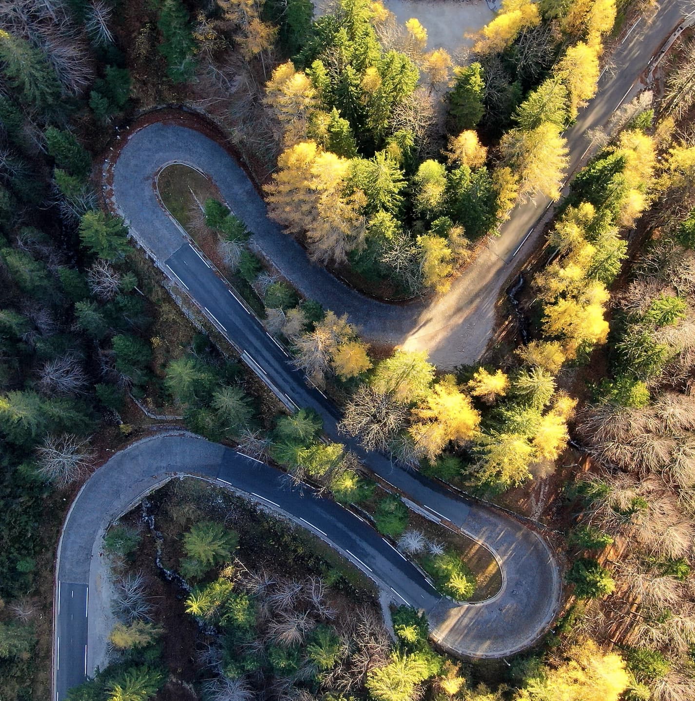 Smooth curves, gentle climbs—roads built for rhythm