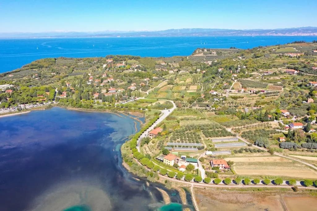 Coastal landscape in Slovenia with terraced hills, houses, and blue sea in the background.