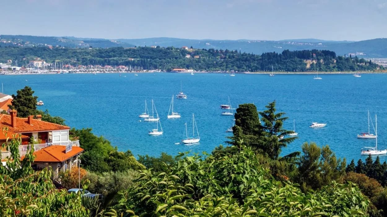 Sailboats anchored in bright blue water overlooking Portorose bay and coastal hills.