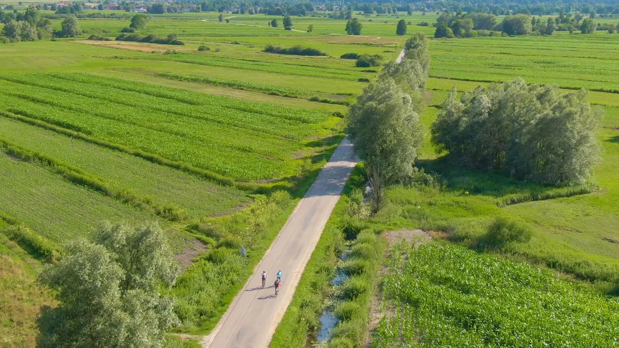 Cyclists riding on a road through lush green agricultural fields in Ljubljana Marshes flatlands.