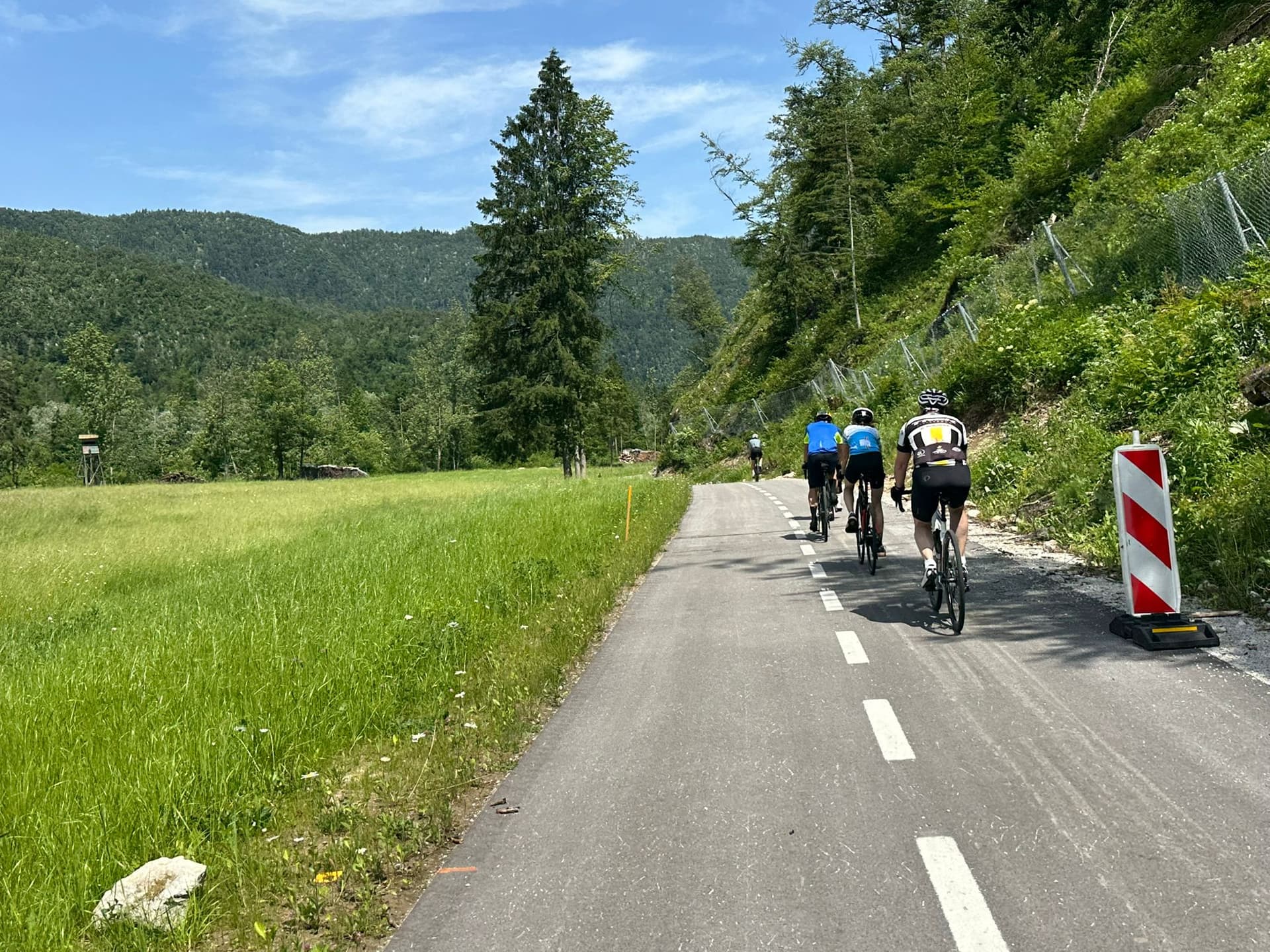 Cyclists riding on paved path past tall grass and forested mountains near Lake Bohinj.