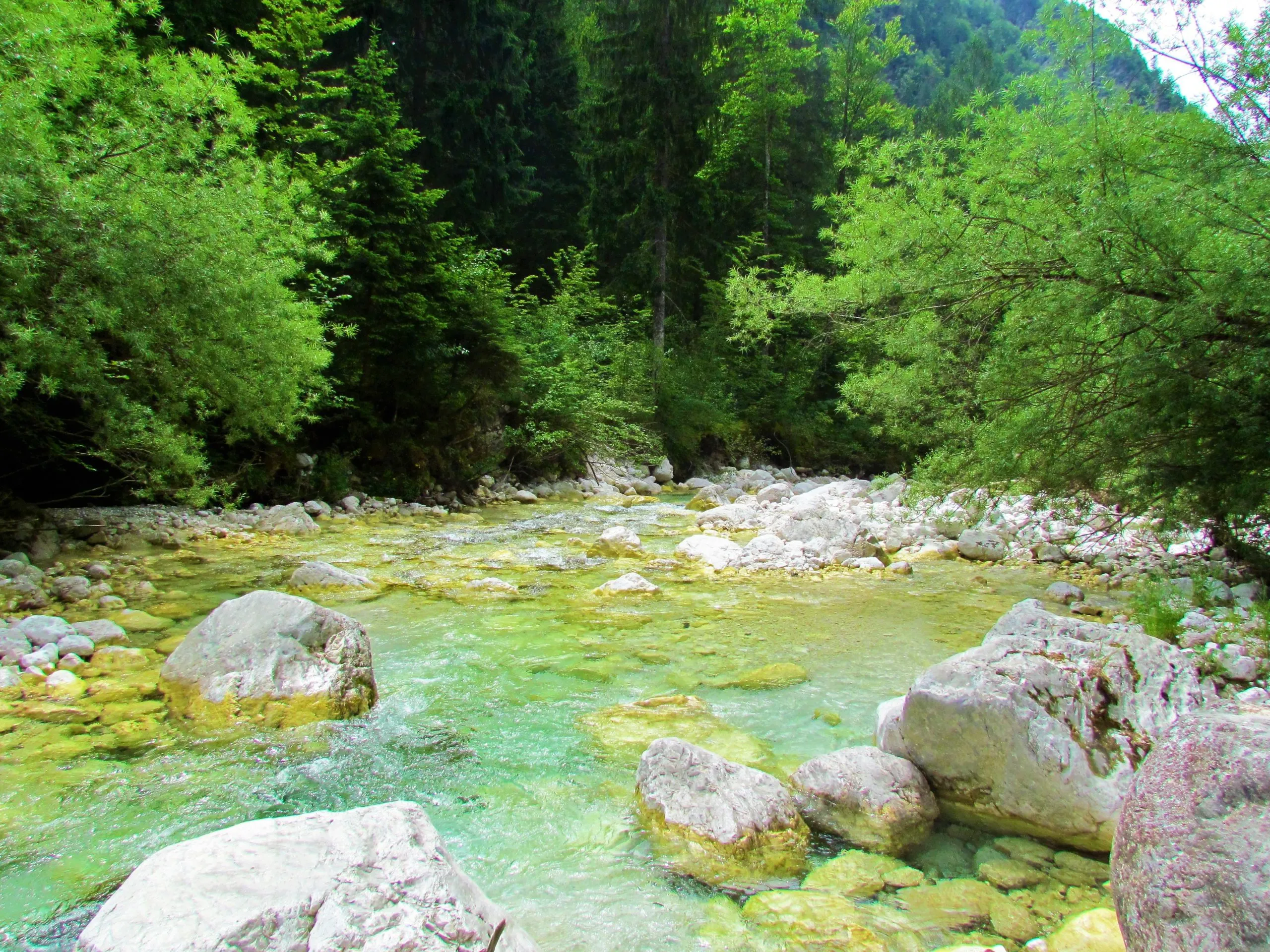 Bassa valle dell'Isonzo